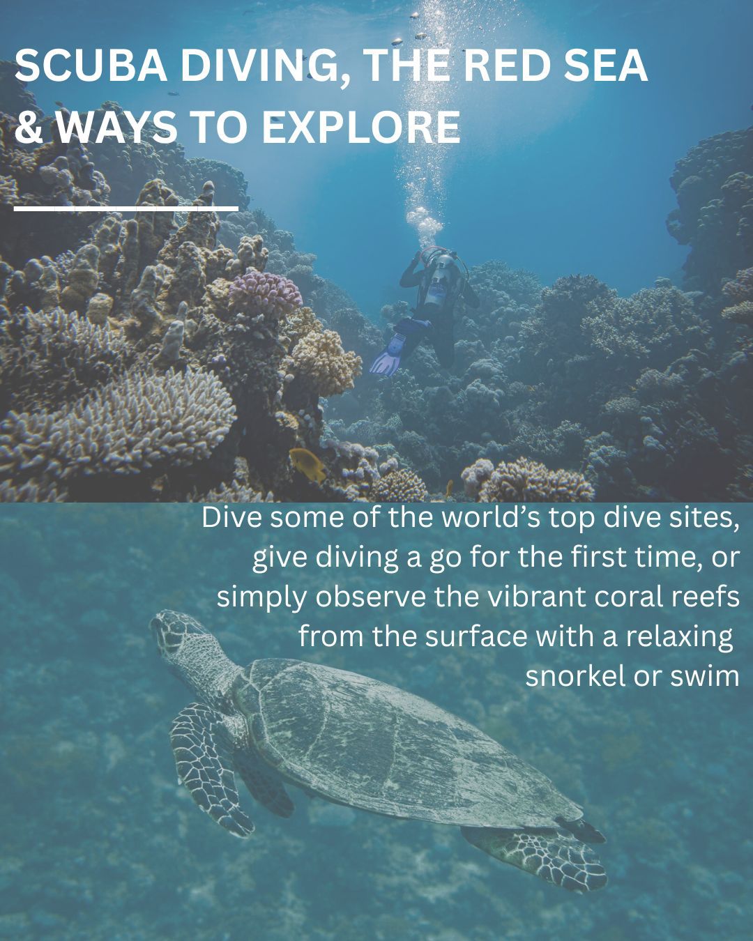 5a624949-5964-4207-9638-83563a9c20c2