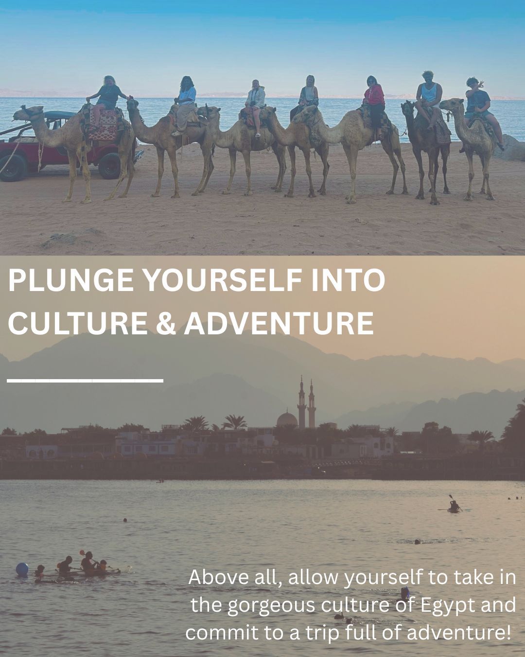 881eed0a-84c9-4536-b1e6-189a48573550